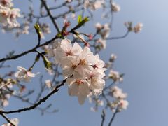 -广富林郊野公园