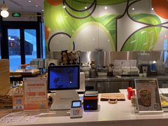 -油梨树 AVOCADO TREE(亮马桥店)