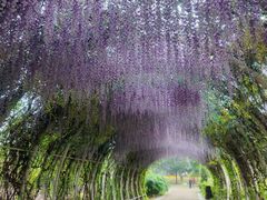 -同里国家湿地公园