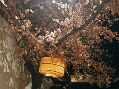 -绿茶餐厅(朝阳大悦城店)