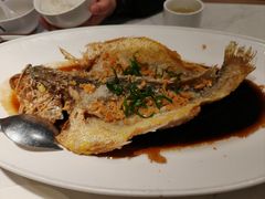 黑醋戏水大黄鱼-食锦记·福建私房菜(浦西万达店)