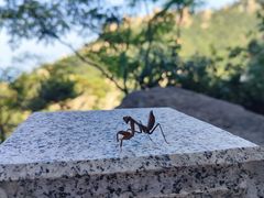 -崂山仰口游览区