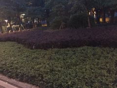 -光明港公园