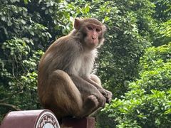 -广西龙虎山风景区