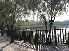 -日照海滨国家森林公园