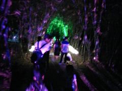 -福建鲤鱼洲酒店