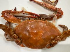 -日月昇渔家菜·海肠捞饭·大连海鲜(星海公园店)