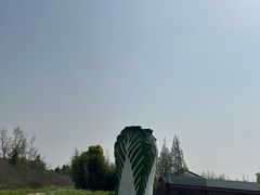 -上海都市菜园
