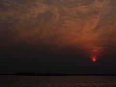 -漕湖湿地公园
