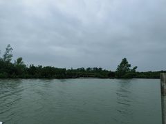 -东寨港红树林旅游区