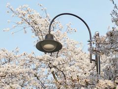 -河南工业大学(莲花街校区)