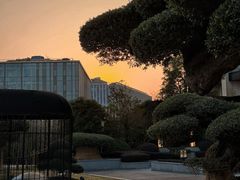-阿纳迪酒店·秘境西餐厅