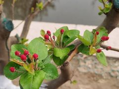 -元大都城垣遗址公园