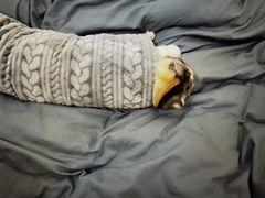 -福州人铭小吃