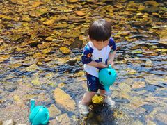 -北仑森林植物园