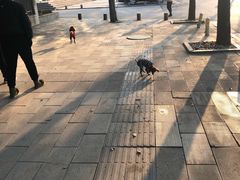 -武汉绿地中心