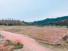 -清远熹乐谷温泉度假酒店