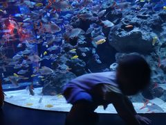 -成都浩海立方海洋公园