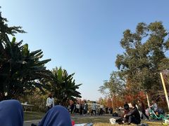 -白鹭湾湿地公园