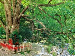 -石台牯牛降景区