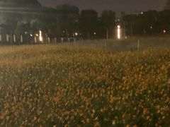 -汉江湾体育公园