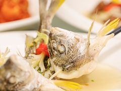 -有腥气私房菜·寻味顺德