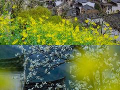 -大鄣山卧龙谷景区