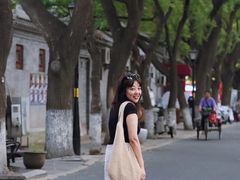 -北京国子监胡同
