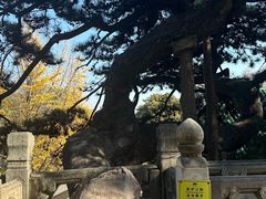 -潭柘寺景区