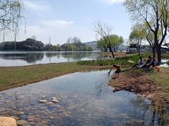 -渤公岛生态公园
