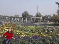 -石家庄市植物园