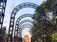 -金山农民画村-枫泾波兰倒置屋