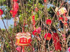 -荔湾湖公园