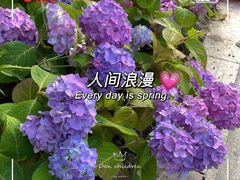 -杭州君悦酒店