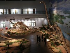 -自贡恐龙博物馆