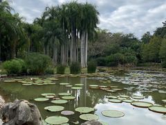 -中国科学院西双版纳热带植物园