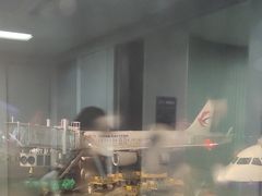 -合肥新桥国际机场-航站楼