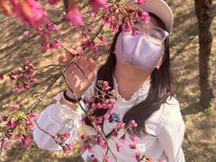 -牛岗山公园