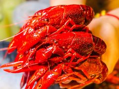 -舞虾小说.涮肉.烧烤(国顺东路店)