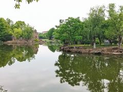 -紫薇公园