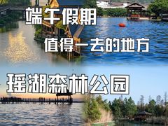 -瑶湖郊野森林公园