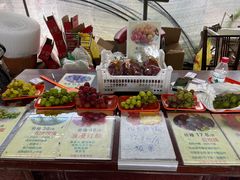 -马陆小张葡萄园农家乐