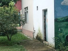 -光明农场大观园