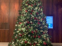 -香港尖沙咀凯悦酒店