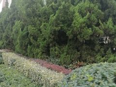 -青岛富力艾美酒店