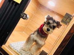 -小尾巴宠物店(万科·金域华庭店)