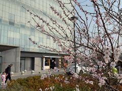 -北京华联购物中心(同成街店)