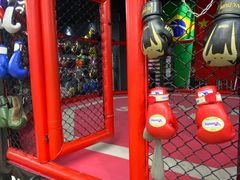 -成杰格斗·拳击·柔术·防身术(建设路店)