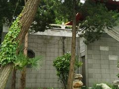 -叶家花园