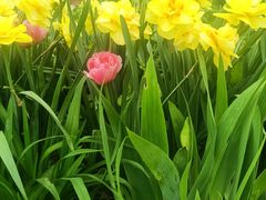 -北京植物园南门售票处